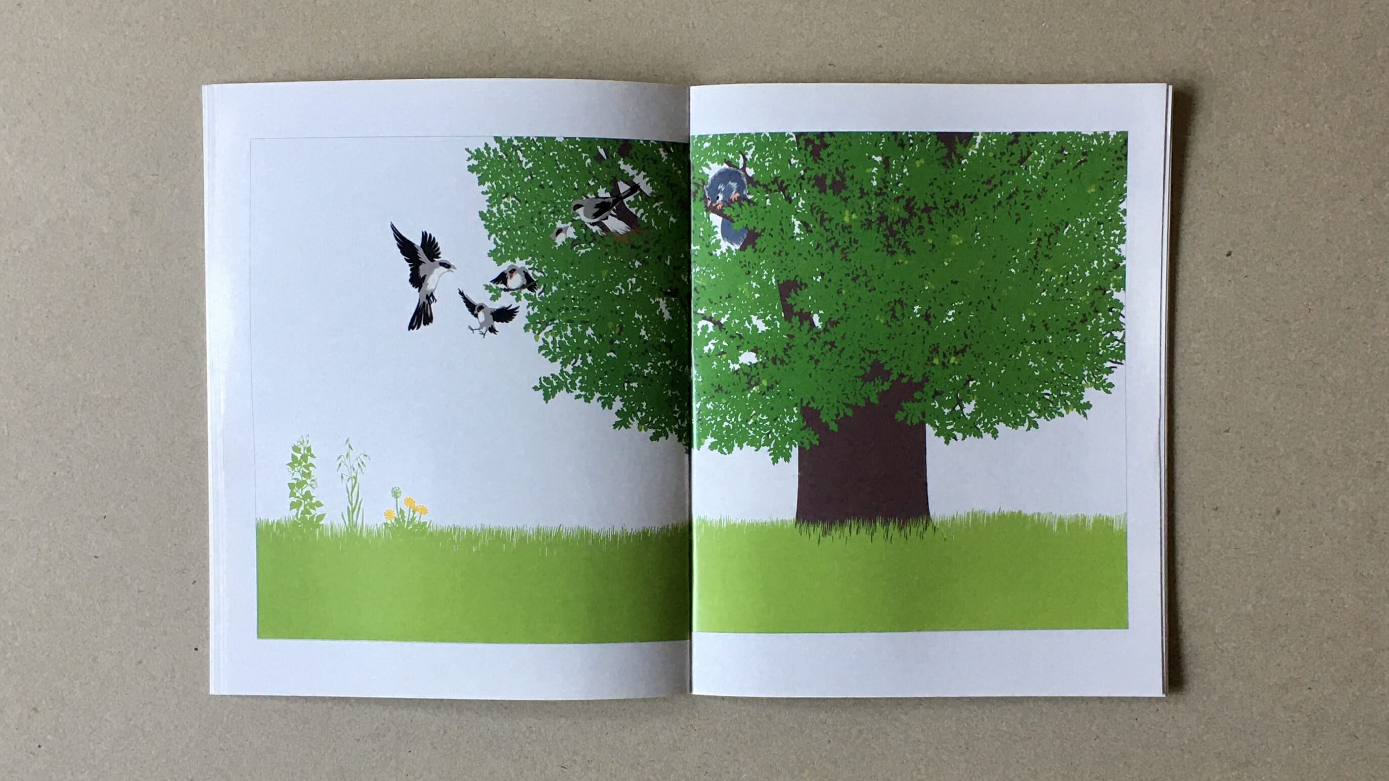 L'albero (The Tree) – Wordless Books