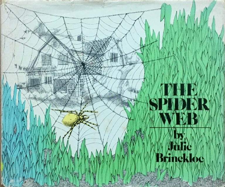 The Spider Web – Wordless Books